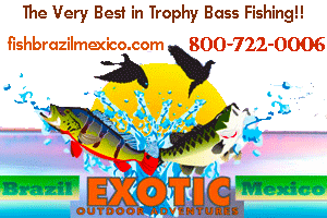 The Very Best in Trophy Peacock Bass in Brazil and Trophy Bass Fishing in Mexico!