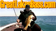 GreatLakesBass.com - Extensive bass fishing home page specializing in Great Lakes, Michigan, Illinois, Indiana, Ohio, Wisconsin, Minnesota and Ontario bass fishing techniques, news, issues, conservation, bass fishing reports, bass biology, tournament strategy, bass fishing lure and fishing tackle, bass fishing forum and fishing message board, logistics and safety, and product information.