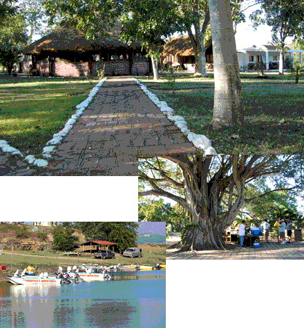 Nice clean cabins, quality boats and the outdoor bar under the giant Tule tree at Mexico's Club El Salto await trophy bass anglers.