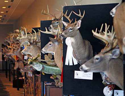 Big Buck Night West is another huge draw at the 2019 Ultimate Sport Show Grand Rapids, presented by Jimmy Gretzinger and Jenny Olson of the Michigan Out-of-Doors television show. Seating starts at 6:30 PM in Ballroom D Thursday night.