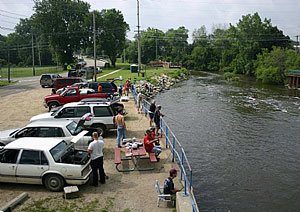 Anglers line the Pine River fishing during the City of St Louis Michigans Joe Scholtz Annual Free Fishing Derby