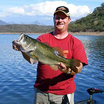 Eight pound eight ounce Mexico Lake Comedero largemouth bass caught from a thorn tree on a Kicker Fish Shad Stick