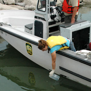 Michelle Budny from the University of Notre Dame collects a water sample from Lake Erie for Asian carp eDNA screening. Photo credit: Lindsay Chadderton, The Nature Conservancy Michelle Budny from the University of Notre Dame collects a water sample from Lake Erie for Asian carp eDNA screening. Photo credit: Lindsay Chadderton, The Nature Conservancy