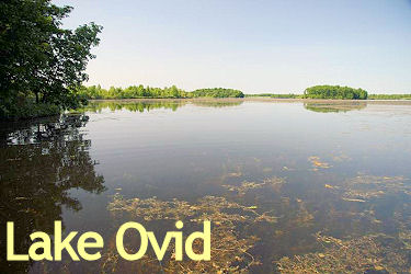 Lake Ovid is a 400 acre weedy lowland reservoir in south-central Michigan inside Sleepy Hollow State Park.