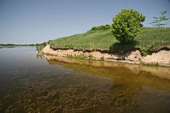 A sandy point that was lining up with bluegill beds.