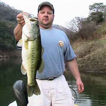 Paul Cowen puts the metal to a big 8 pound 5 ounce female largemouth bass from the side of a secondary point on a plastic lizard