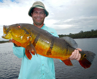 Scott Dobson shows off a 21 pound Amazon peacock bass he caught while fishing with Ron Speed Jr's Adventures!