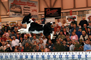 The Ultimate Air Dogs show, held daily on Lake Ultimate, is free with admission at the Ultimate Sport Show in Grand Rapids