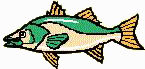 GreatLakesBass.com Bass Fishing Humor article backwater bass or green trout fish
